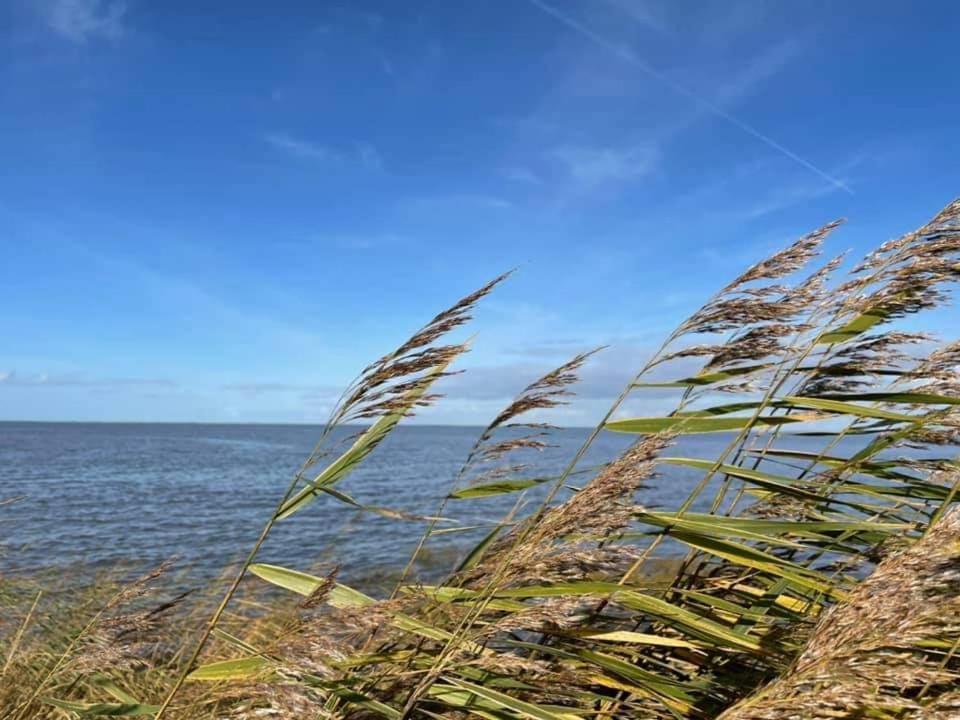 Haus Im Wiesengrund Esens Exteriör bild